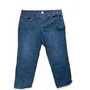 Terra n Sky Jegging Capri Size 20W 22W Dark Wash Blue Pull On High Rise